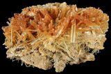 Selenite Crystals - Lubin Mine, Poland #96134-1